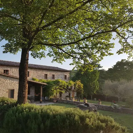 Casa Olivo