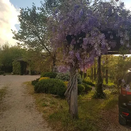 Feriehus Casa Olivo *
