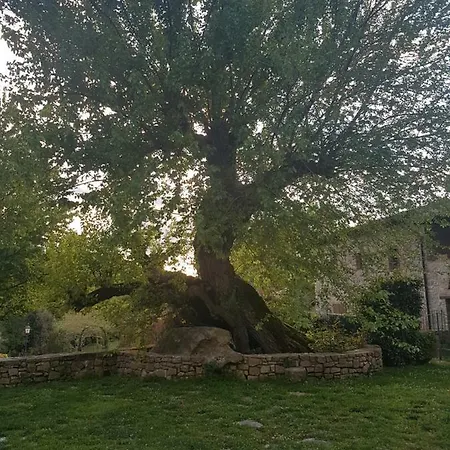 Casa Olivo Tatil Evi Todi